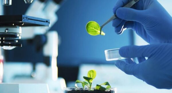 La UNAE invita a participar de jornada de investigación y comunicación científica