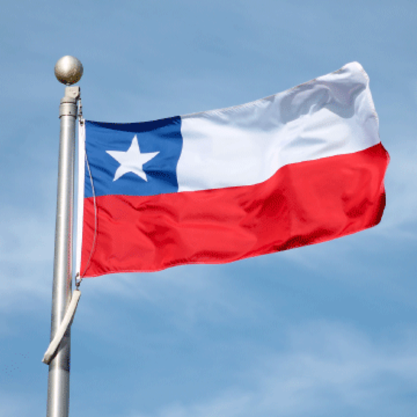 Un ultraje a la bandera de Chile profundiza el enfrentamiento por el proyecto de reforma de la Constitución | 1000 Noticias