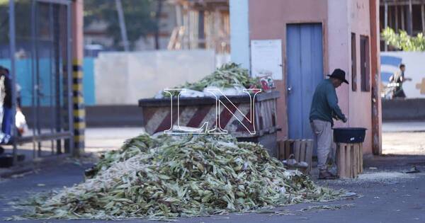 La Nación / Detienen a una adicta tras atacar a un vendedor en el Mercado de Abasto