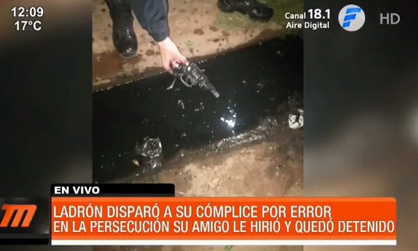 Insólito - Ladrón disparó a su cómplice por error | Telefuturo