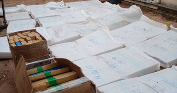 La Nación / Pedro Juan Caballero: se incautaron de 438 kilos de marihuana en una vivienda abandonada