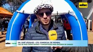 Uso de maíz grano entero y concentrado para engorde de ganado - ABC Rural - ABC Color