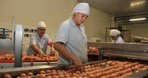 La Nación / Destacan que sector avícola se mantiene estable pese a que el contrabando sigue