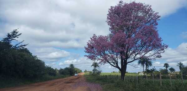 Anuncian un lunes fresco y cielo algo nublado