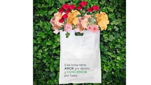 Palo y a la bolsa: Cuatro empresas eco friendly que elaboran empaques biodegradables