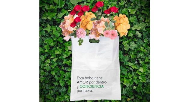 Palo y a la bolsa: Cuatro empresas eco friendly que elaboran empaques biodegradables