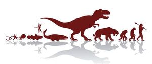 La evolución biológica (2) - Escolar - ABC Color