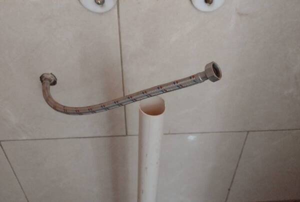 Crónica / Esto ya es cosa de puercos: malevo peló ¡el baño de una iglesia!