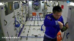 Cultivan arroz en el espacio para alimentar a astronautas en el futuro