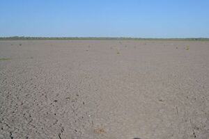 Lagunas y riachos secos por falta de lluvia en Alto Paraguay - Noticias del Chaco - ABC Color