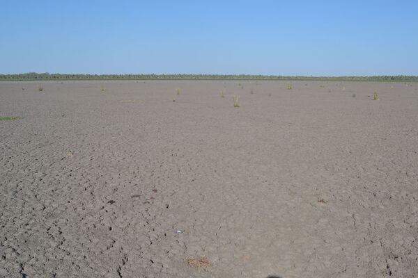 Lagunas y riachos secos por falta de lluvia en Alto Paraguay - Noticias del Chaco - ABC Color