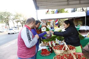 “Economía Social y Solidaria” para reactivación económica de sectores vulnerables