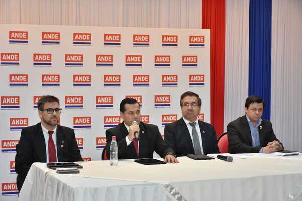 Diario HOY | "Promo 6.0" de la ANDE para que mipymes y grandes clientes salden deudas