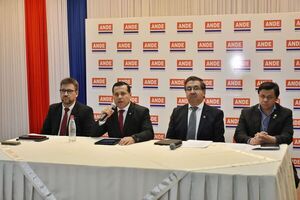 ANDE dio los resultados de promociones para clientes morosos - Economía - ABC Color