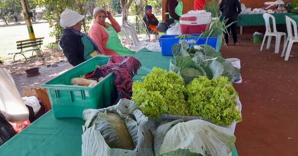 La Nación / Feriantes hortigranjeras de Franco piden local propio y más difusión para mejorar ventas