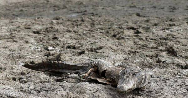 La Nación / “El agua cada vez se hace más escasa”, advierte gobernador de Boquerón