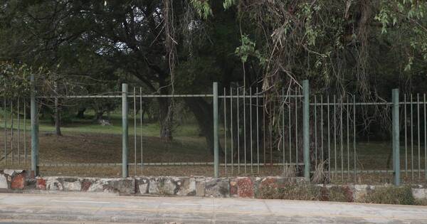 La Nación / Roban rejas del Jardín Botánico