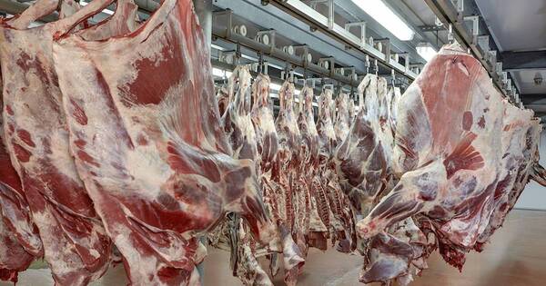 La Nación / Se dificulta colocación de carne en Chile por menor poder adquisitivo