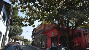 Meteorología prevé un clima fresco a cálido y vientos del noreste