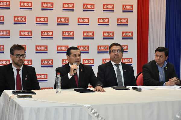 ANDE lanza la «Promo 6.0» para que mipymes y grandes clientes salden deudas - El Trueno