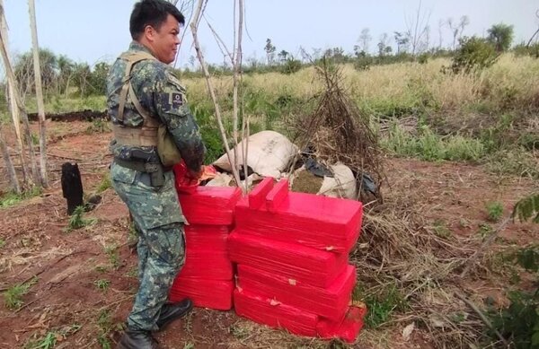 Operativo "Nueva Alianza XXXIV" ya anuló 69 toneladas de marihuana en sus primeras incursiones - Radio Imperio