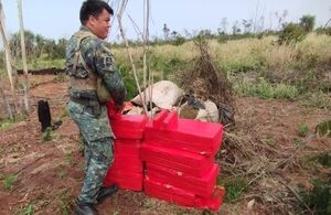 Paraguay y Brasil inician nueva operación contra el narcotráfico en zona fronteriza