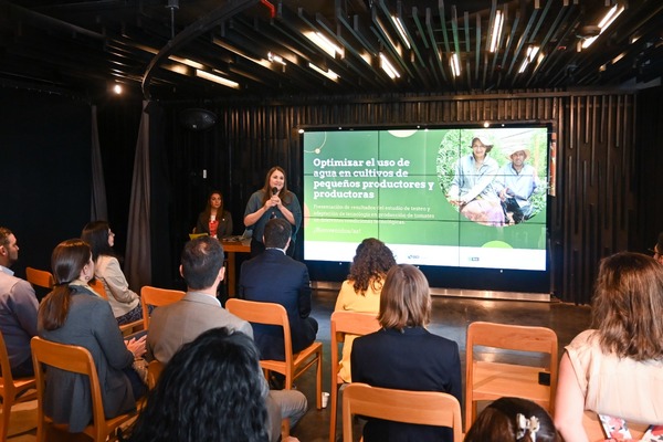 Presentan resultados de estudio sobre producción de tomates en cultivos locales - .::Agencia IP::.
