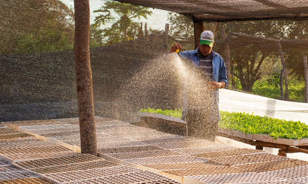Producir más con menos: Una oportunidad para el país desde el enfoque de la agricultura climáticamente inteligente - OviedoPress