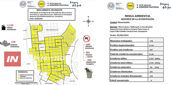 MÁS DE 3000 CRIADEROS HALLADOS DURANTE LA MINGA EN ENCARNACIÓN