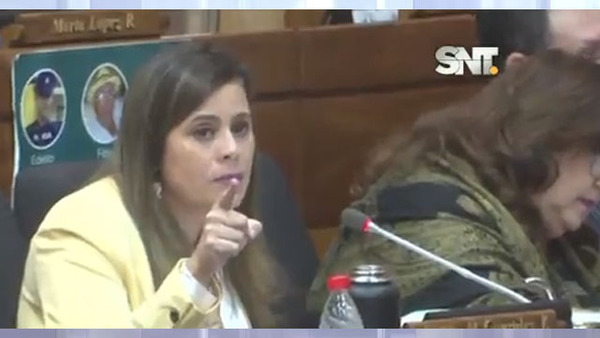 Cámara de Diputados: Debate grosero - SNT