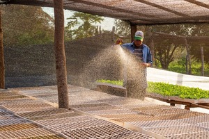  Producir más con menos: una oportunidad para el país desde el enfoque de la agricultura climáticamente inteligente