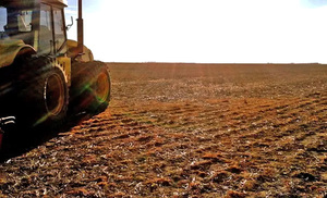 Esperan lluvias para el inicio de siembra de la zafra sojera 2022-2023 - La Clave