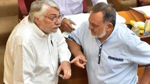 Senado concede permiso de 60 días a Fernando Lugo