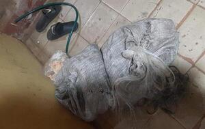 Joven de 19 años fue detenido con 50 kilogramos de tilapia que pescó de una propiedad privada en Campo 9 – Prensa 5