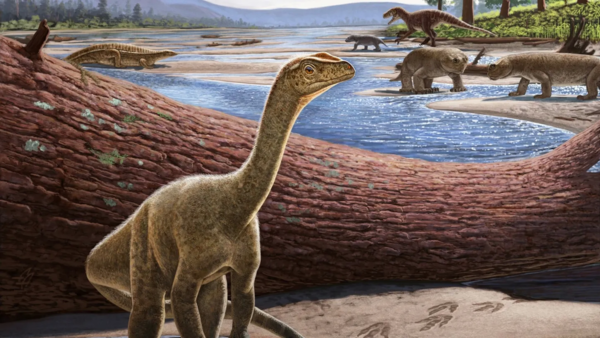 Hallan en Zimbabue el dinosaurio más antiguo de África