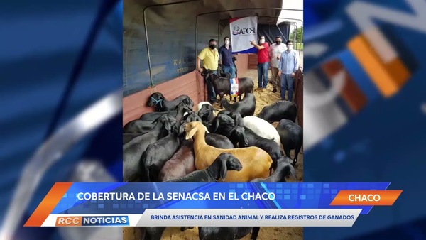 Cobertura de la SENACSA a ganaderos del Chaco en materia de sanidad animal.