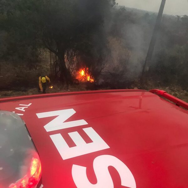 SEN busca subsanar vacíos con la “Ley de manejo de fuego” | 1000 Noticias