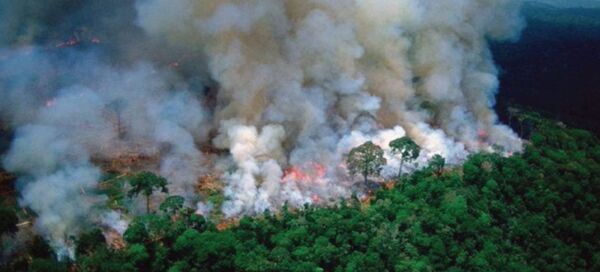 Incendios en la Amazonía brasileña registran el peor agosto en 12 años | 1000 Noticias