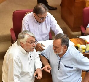 Senado concede permiso de 60 días a Fernando Lugo
