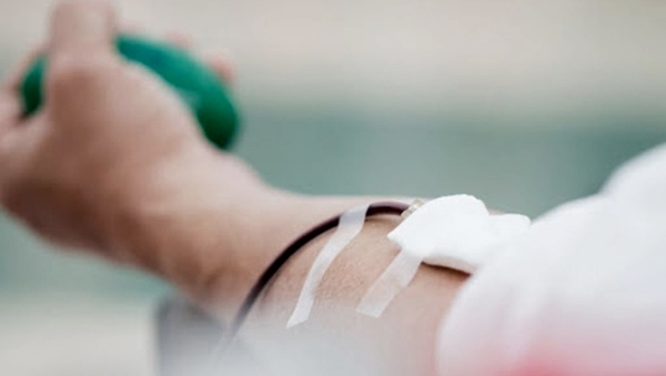 Sangre inclusiva | 1000 Noticias