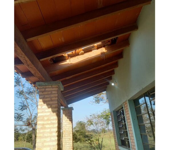 Se cayó el techo del colegio y los alumnos tienen que dar clases bajo árboles