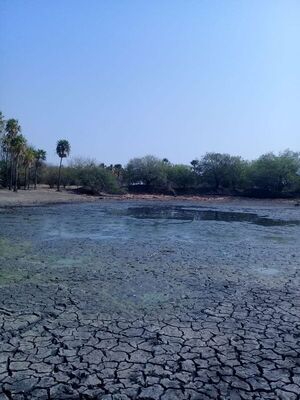 Piden asistencia de agua en el Chaco - Noticias del Chaco - ABC Color