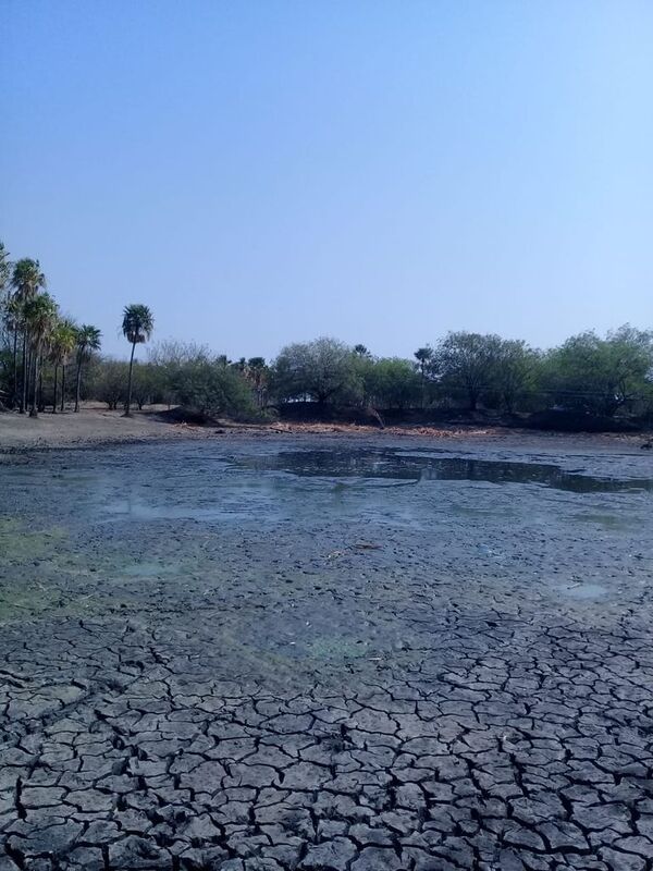 Piden asistencia de agua en el Chaco - Noticias del Chaco - ABC Color