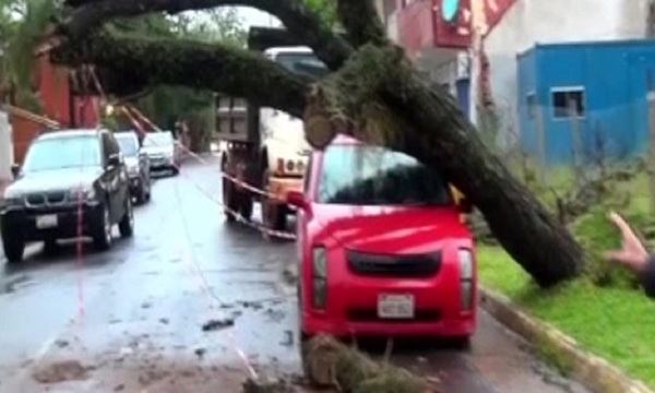 Naturaleza Feroz: Destrozos en el Sur - SNT