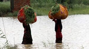 Los países africanos mantienen el objetivo de 1,5ºC antes de cita mundial de clima - Ciencia - ABC Color