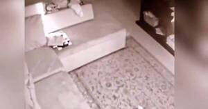 La Nación / Fiscalía investiga a madre, madrastra y padre por maltrato contra niña de 9 años