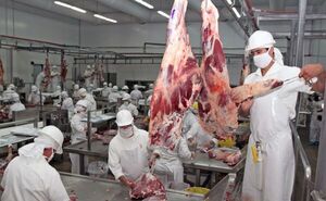 Paraguay lleva exportadas más de 234.000 toneladas de carne bovina durante el 2022