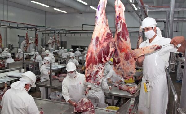 Paraguay lleva exportadas más de 234.000 toneladas de carne bovina durante el 2022