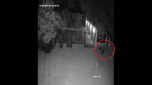 Capiatá: Se tiró al piso fingiendo estar muerta (dos videos) » San Lorenzo PY
