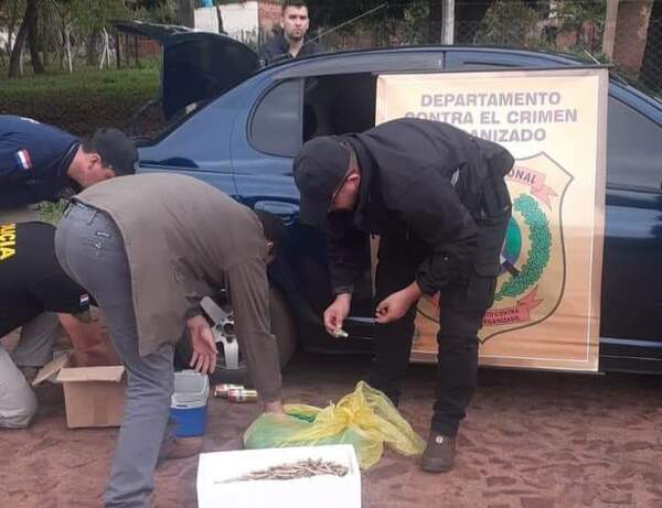 Imputan a dos hombres por compra – venta de municiones de grueso calibre de la Dimabel